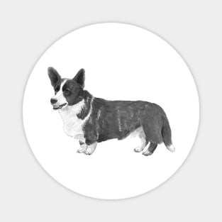 Welsh corgi cardigan Magnet